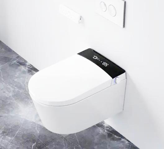 Intelligens WC SS003